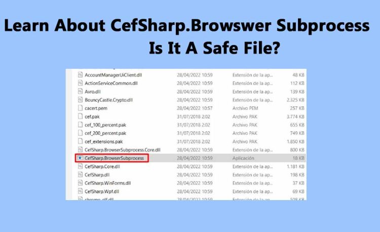 what is Cefsharp.Browser